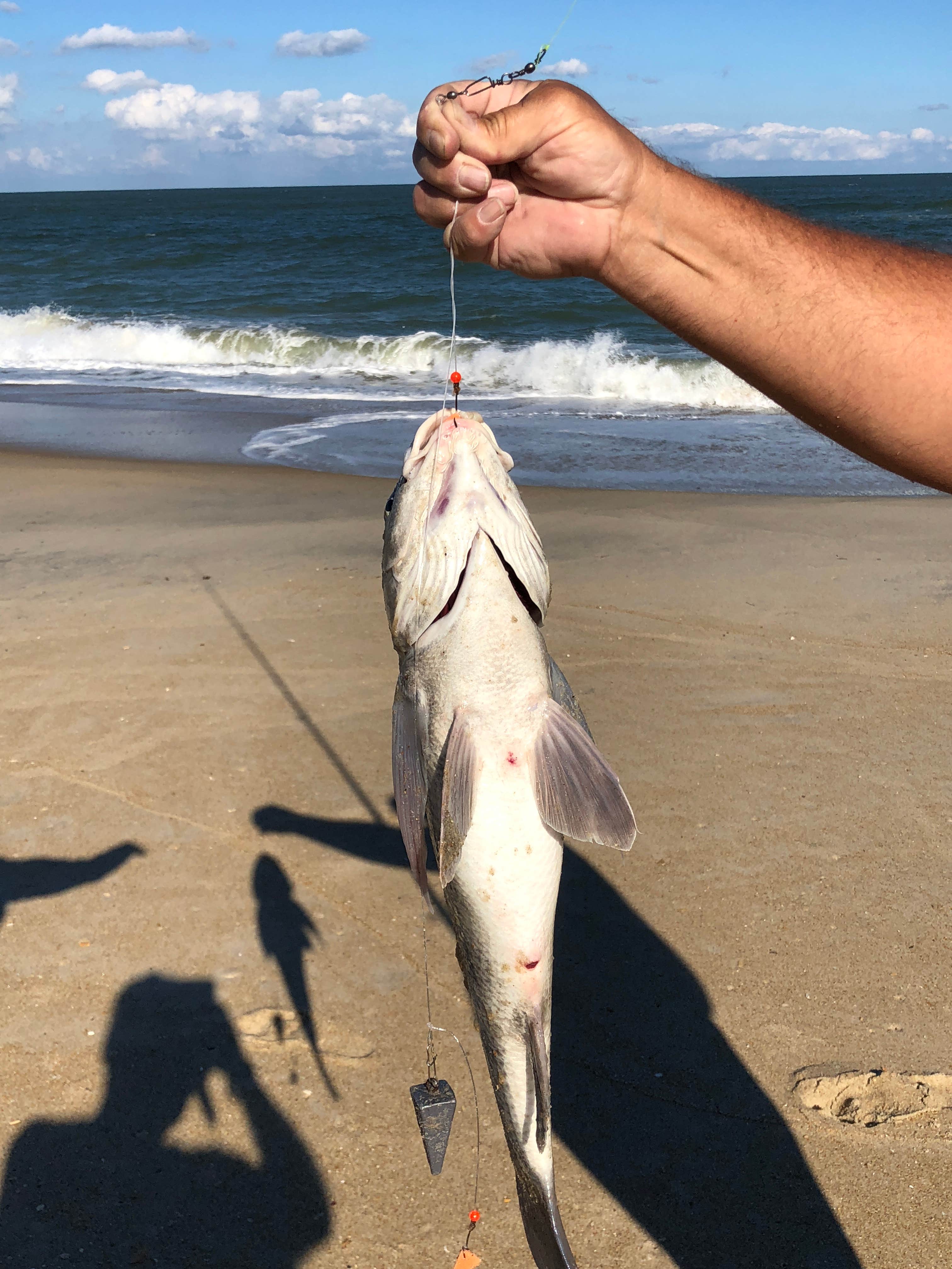 Camper-submitted photo at St Clair Landing Family Campground near Rodanthe, NC