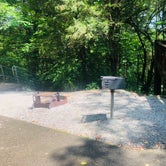 Review photo of Edgar Evins State Park Campground by Shelly S., December 24, 2019