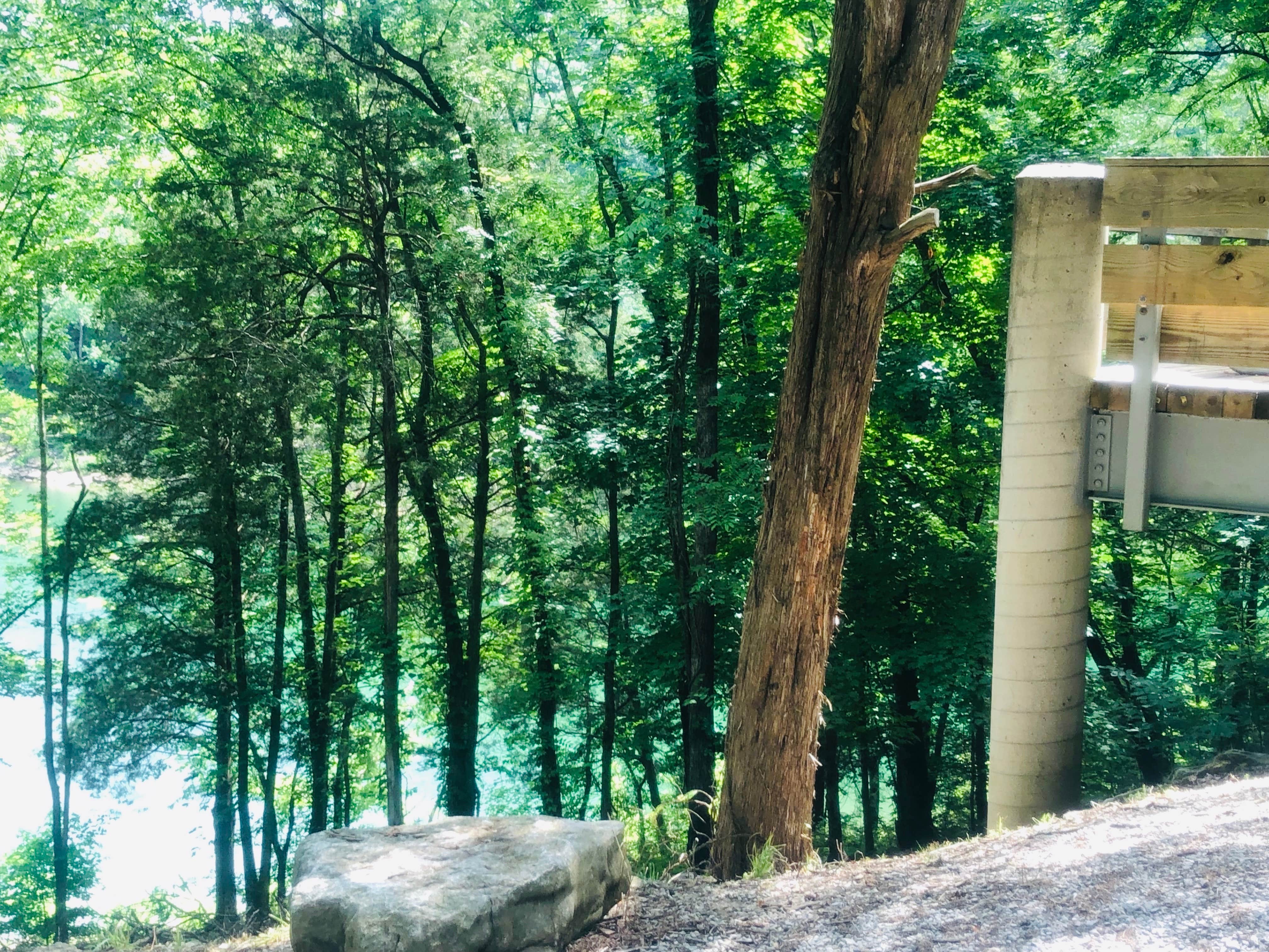 The lake