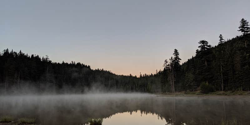 Camper submitted image from Frog Lake