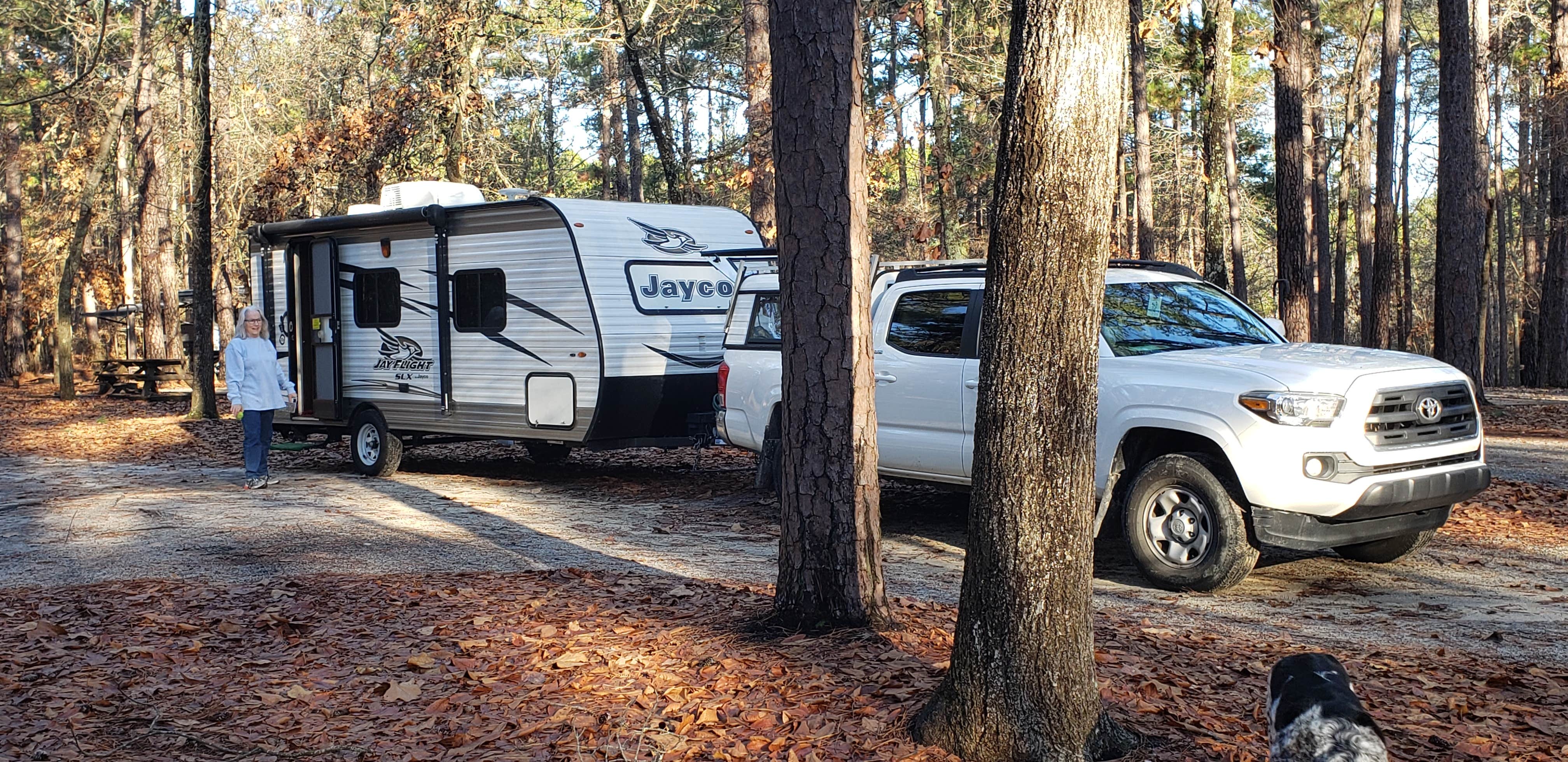 Larry M.'s photo of rv camping at Sesquicentennial State Park Campground near State Park, SC