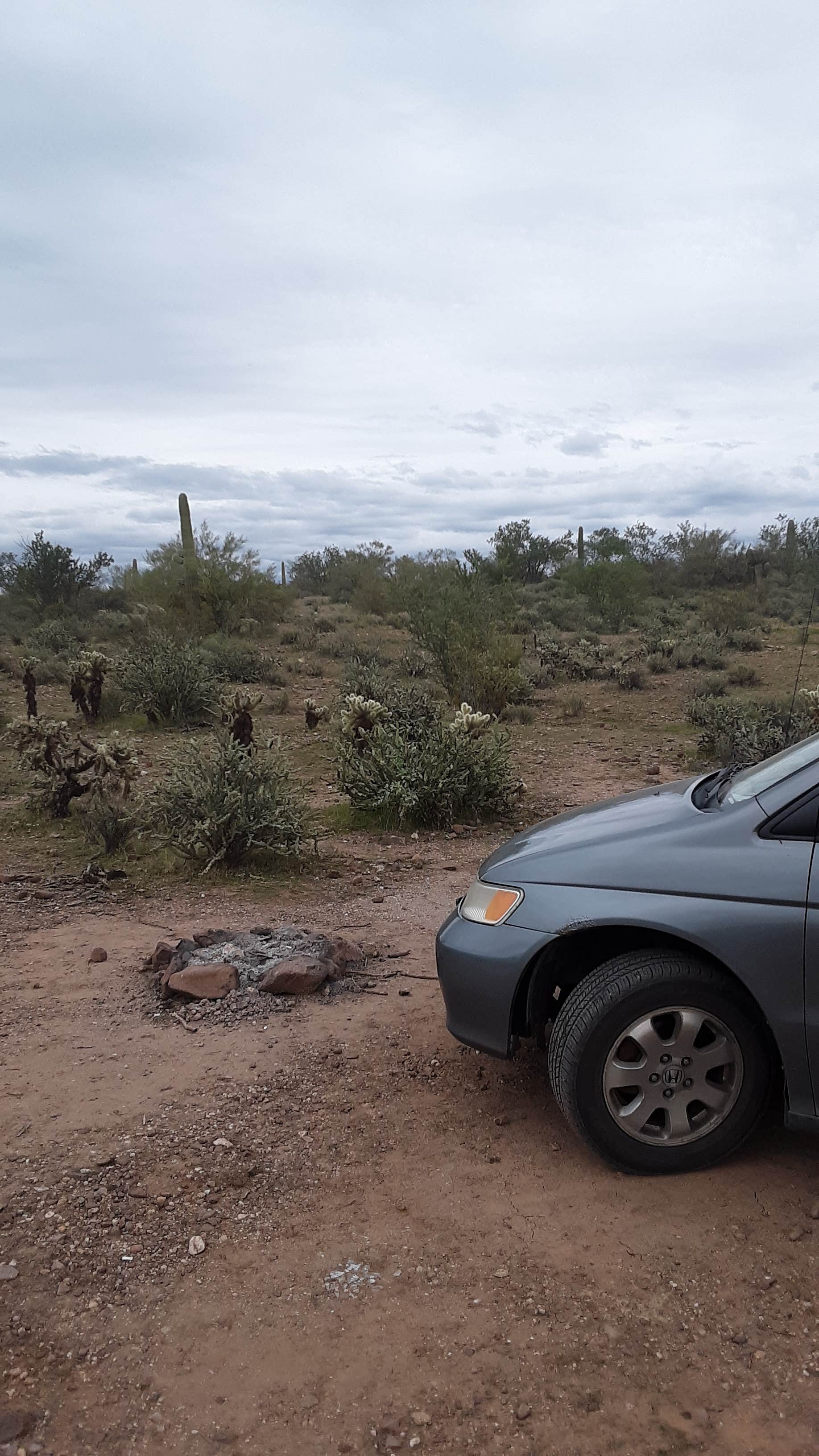 Camper submitted image from Old Airstrip Camping & Staging Area - 3