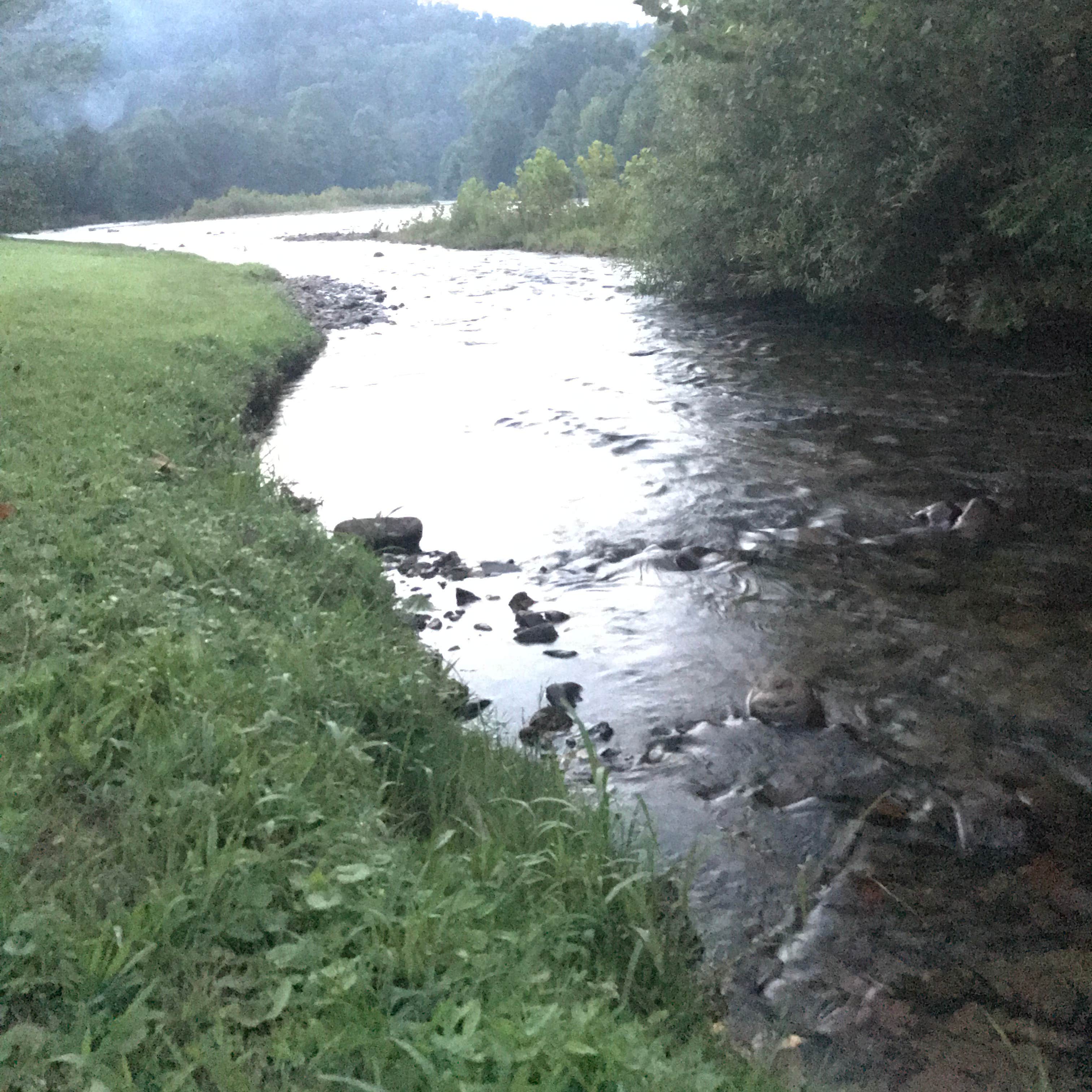 Water