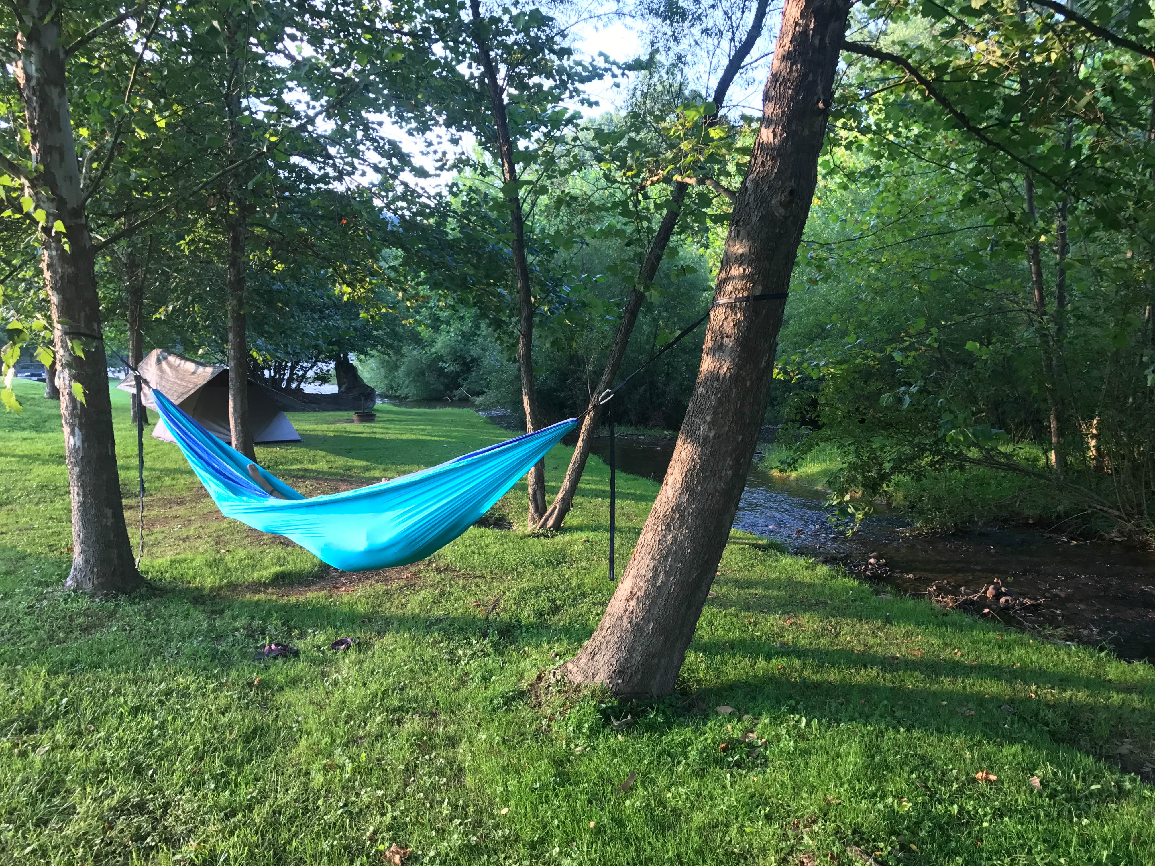 Camper submitted image from Five River Campground - 3