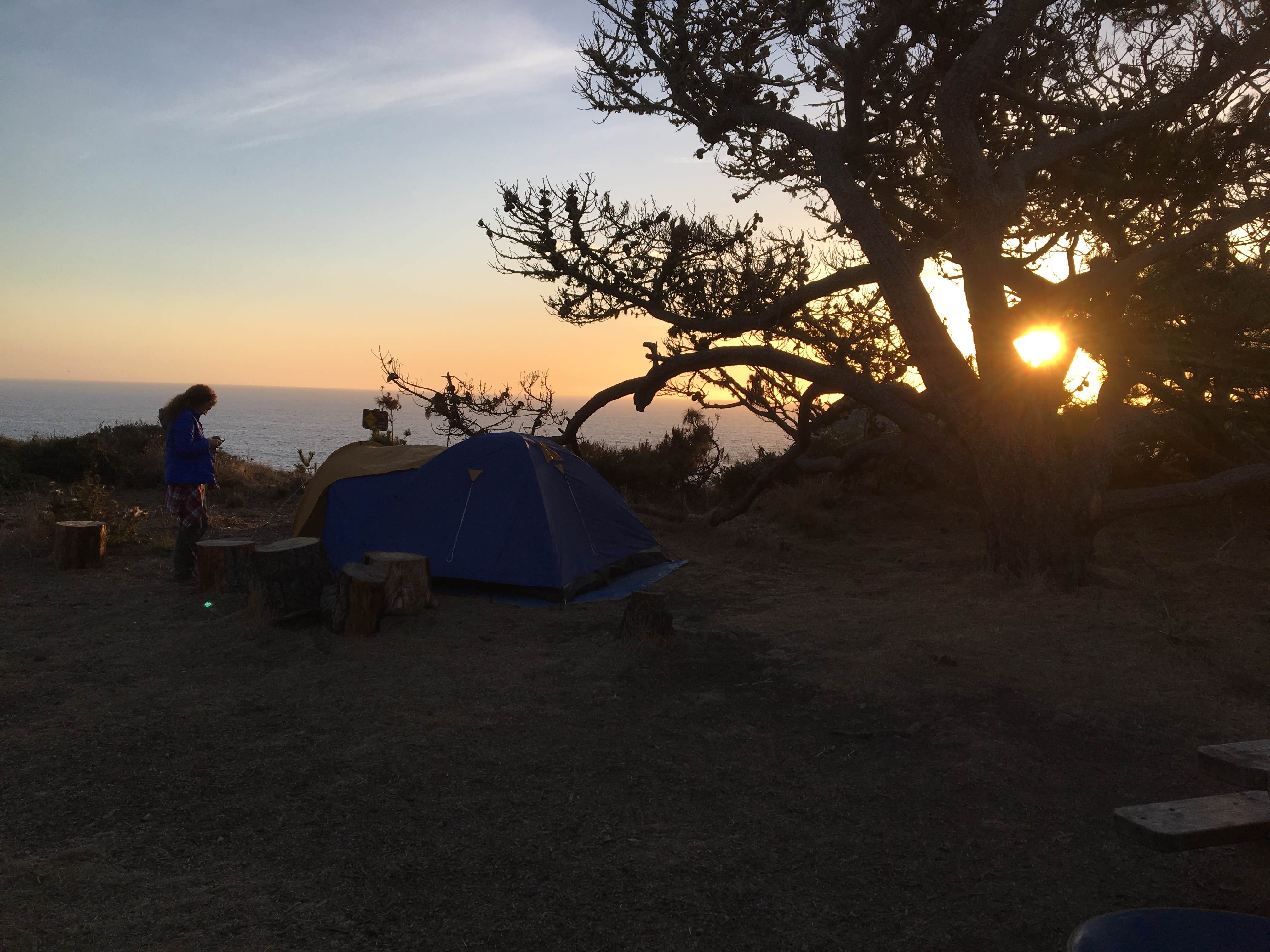 Joanna M.'s photo of tent camping at Steep Ravine Campground — Mount Tamalpais State Park near Kensington, CA