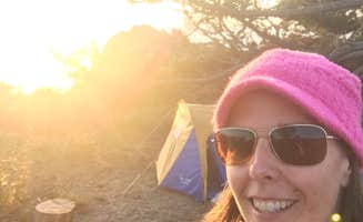Joanna M.'s photo of tent camping at Steep Ravine Campground — Mount Tamalpais State Park near Brisbane, CA