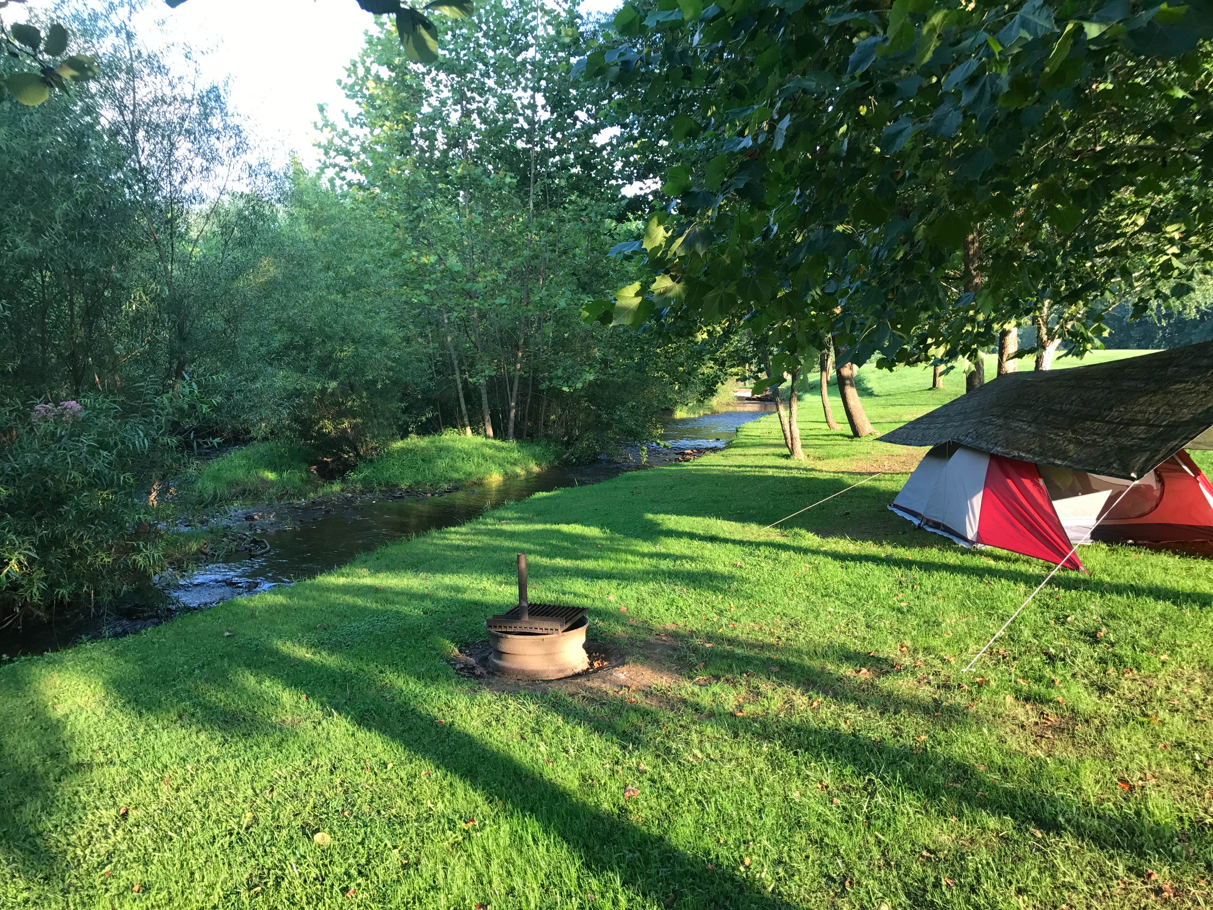 Camper submitted image from Five River Campground - 4