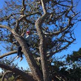 Review photo of Steep Ravine Campground — Mount Tamalpais State Park by Joanna M., December 26, 2019