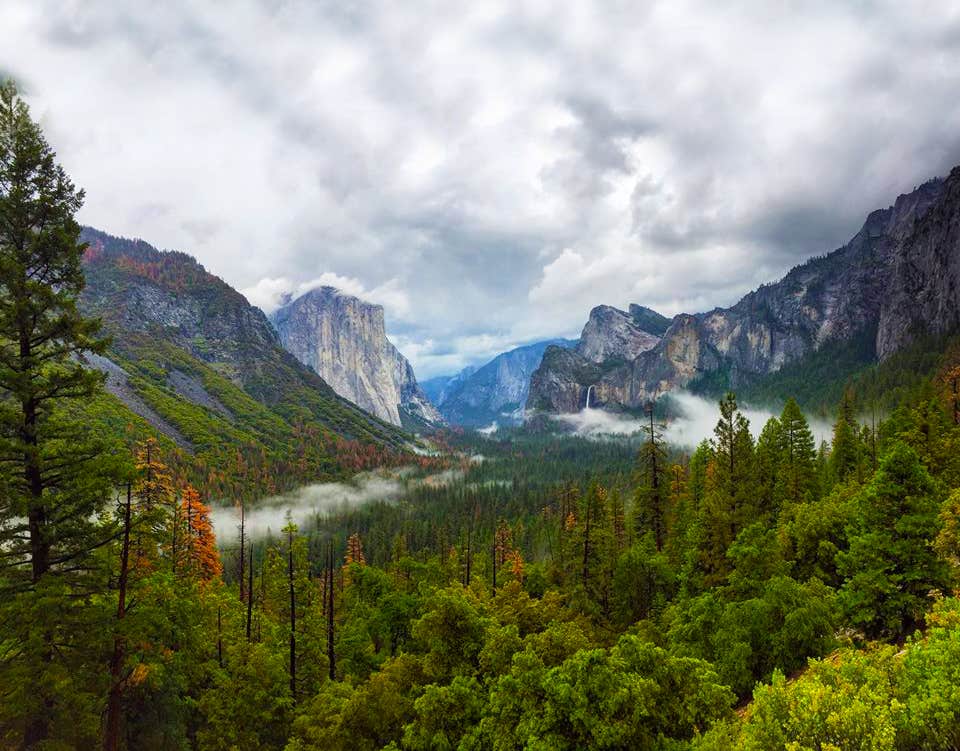 Camper submitted image from Yosemite RV Resort - 2