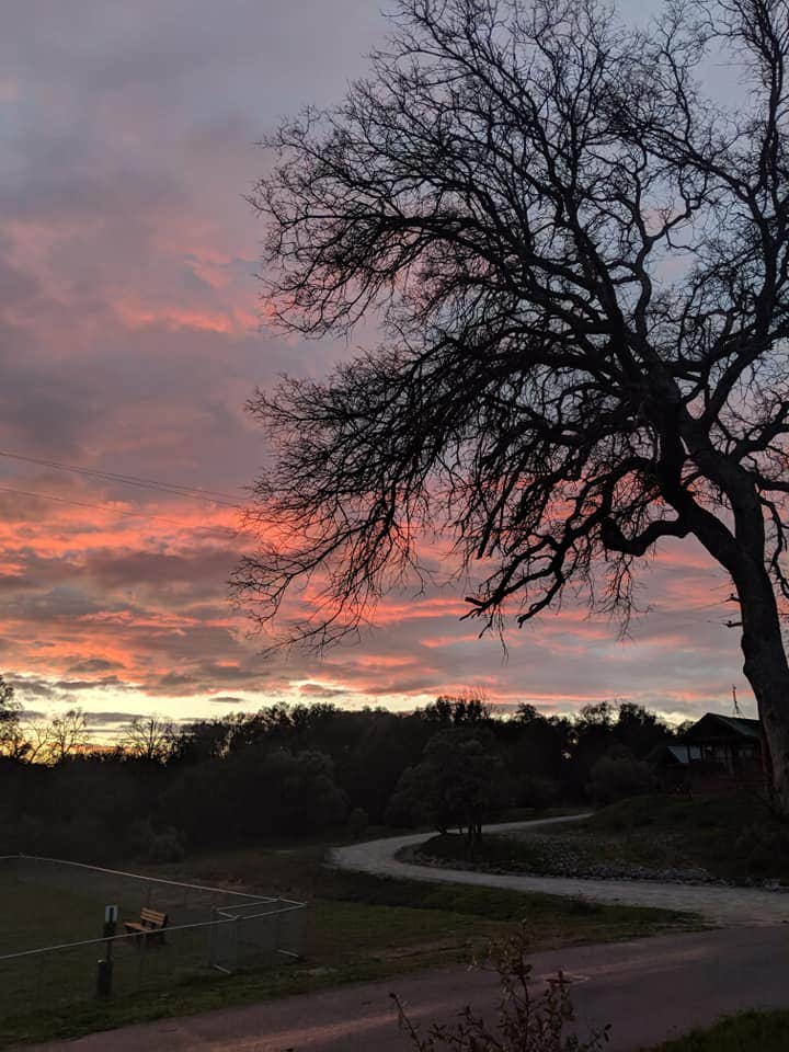 Camper-submitted photo at Yosemite RV Resort near Biola, CA