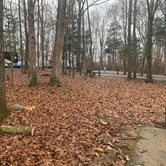Review photo of Henry Horton State Park Campground by Matt T., December 26, 2019