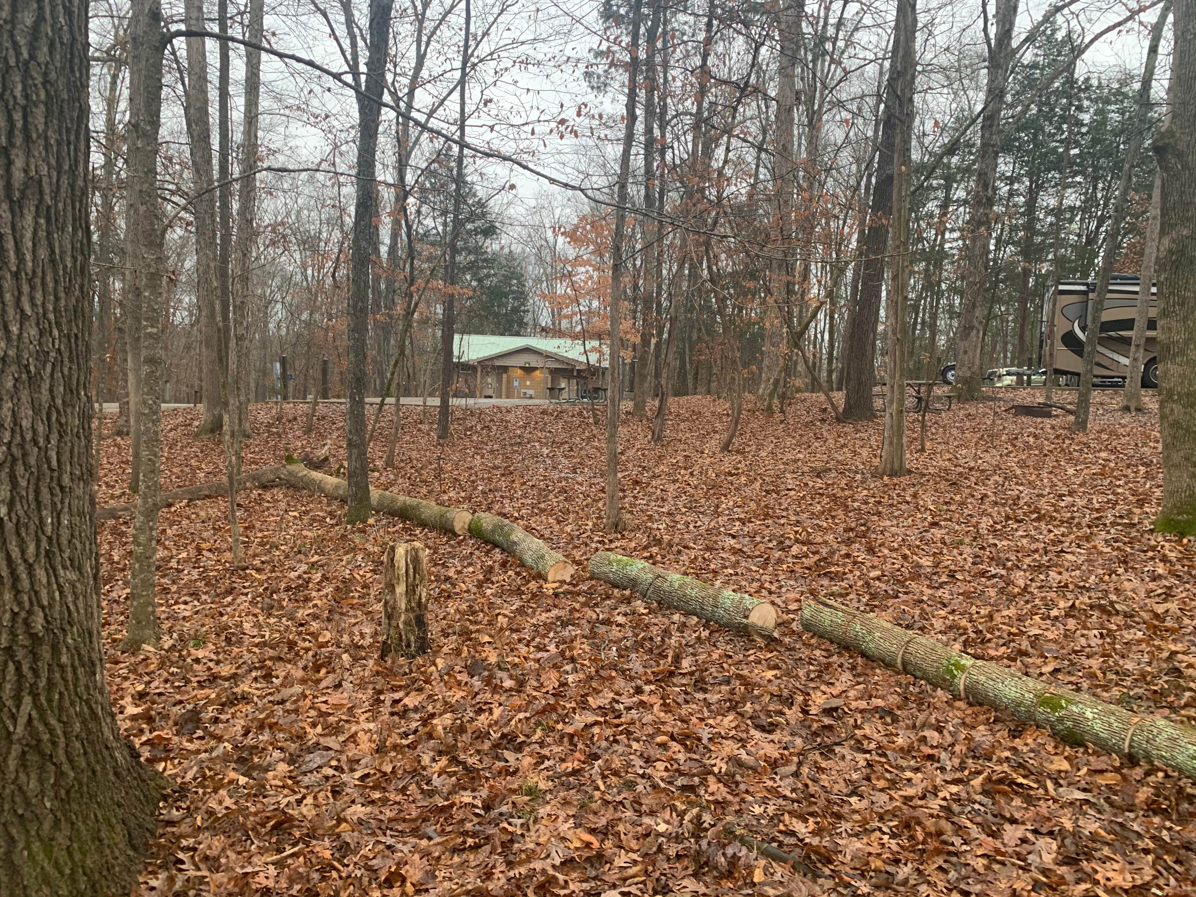 Smyrna - Photo 3