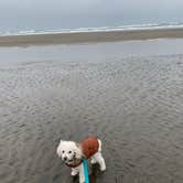 Review photo of Fort Stevens State Park Campground by Déborah T., December 26, 2019