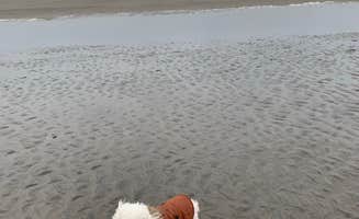 Déborah T.'s photo of camping with pets at Fort Stevens State Park Campground near Cannon Beach, OR