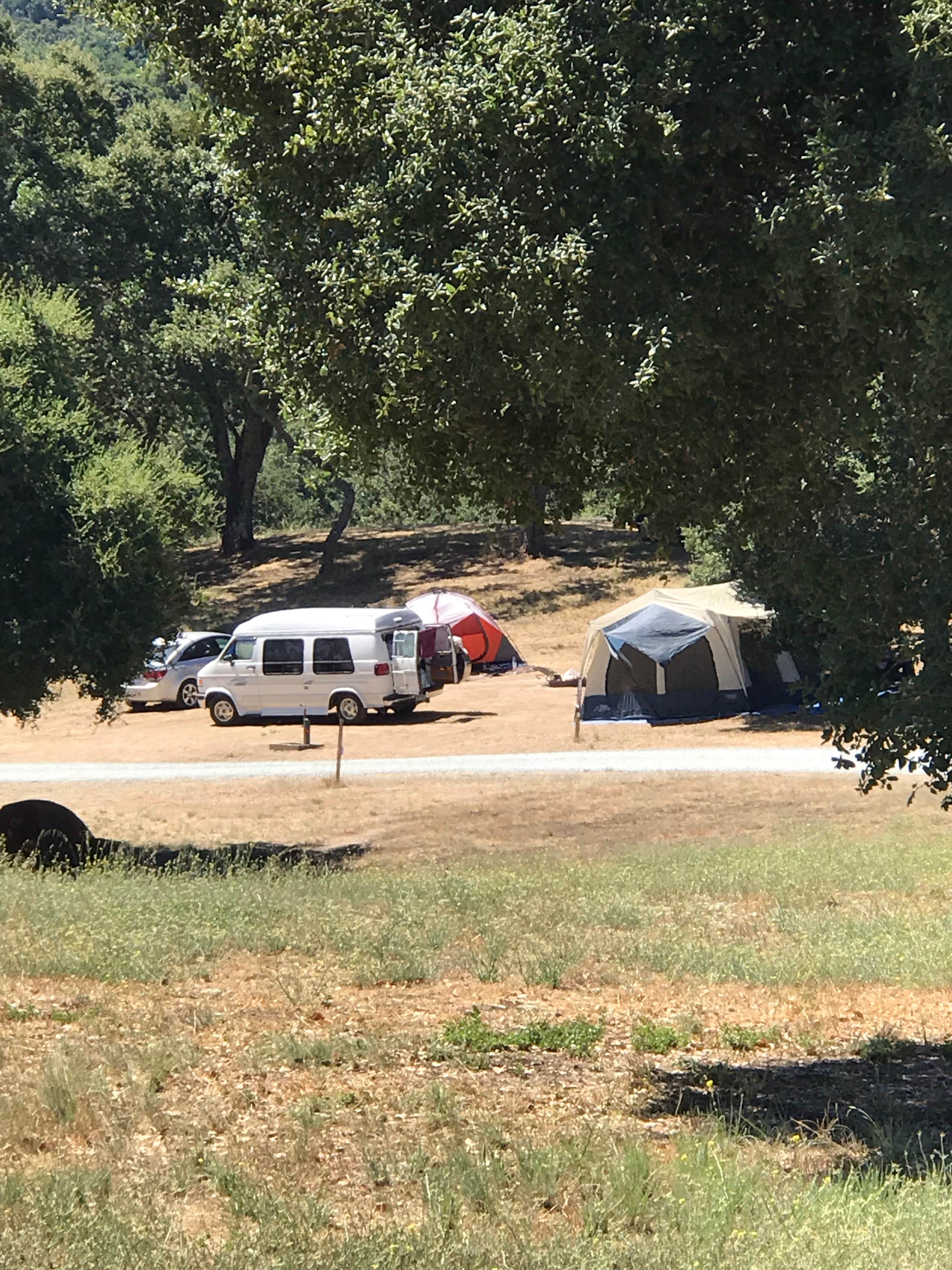Camper submitted image from Grant County Park - 5