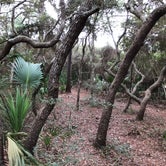 Review photo of Grayton Beach State Park Campground by Lee D., December 27, 2019