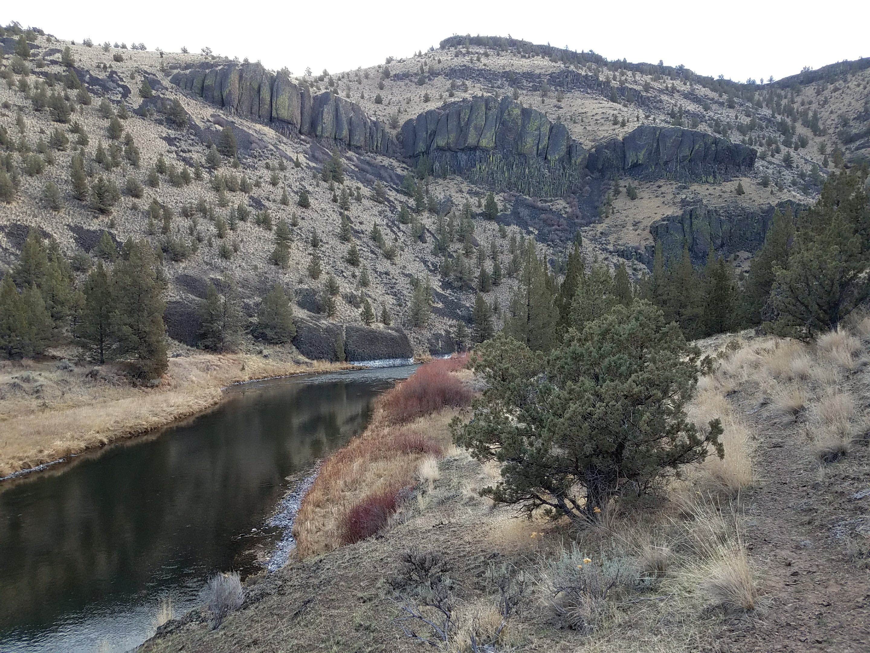 Camper-submitted photo at Palisades Campground near Powell Butte, OR