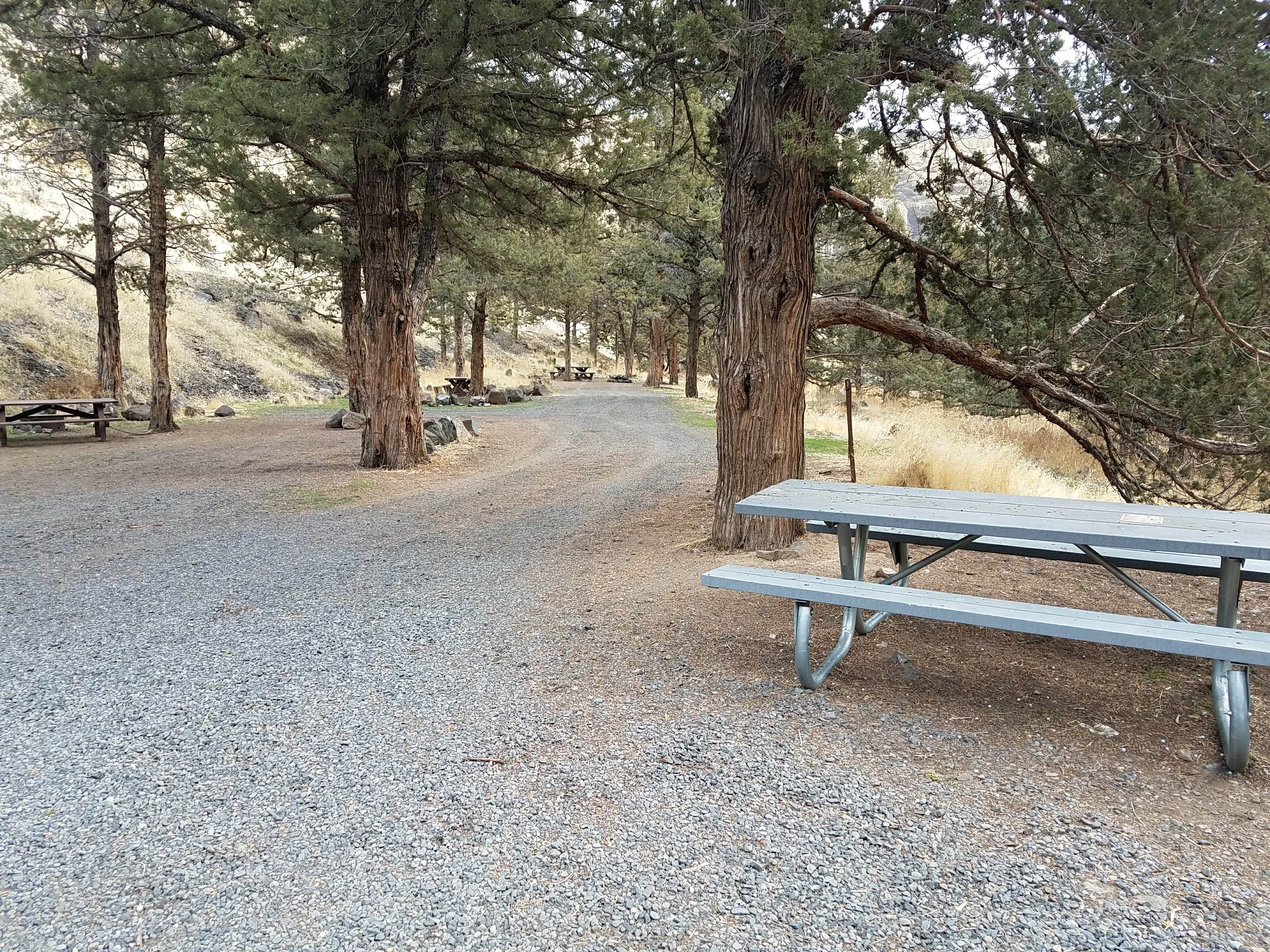 Camper submitted image from Poison Butte Campground - 1