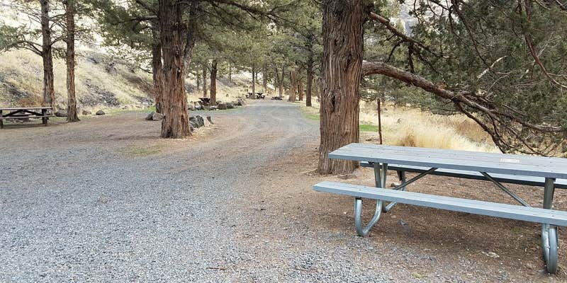 Camper submitted image from Poison Butte Campground