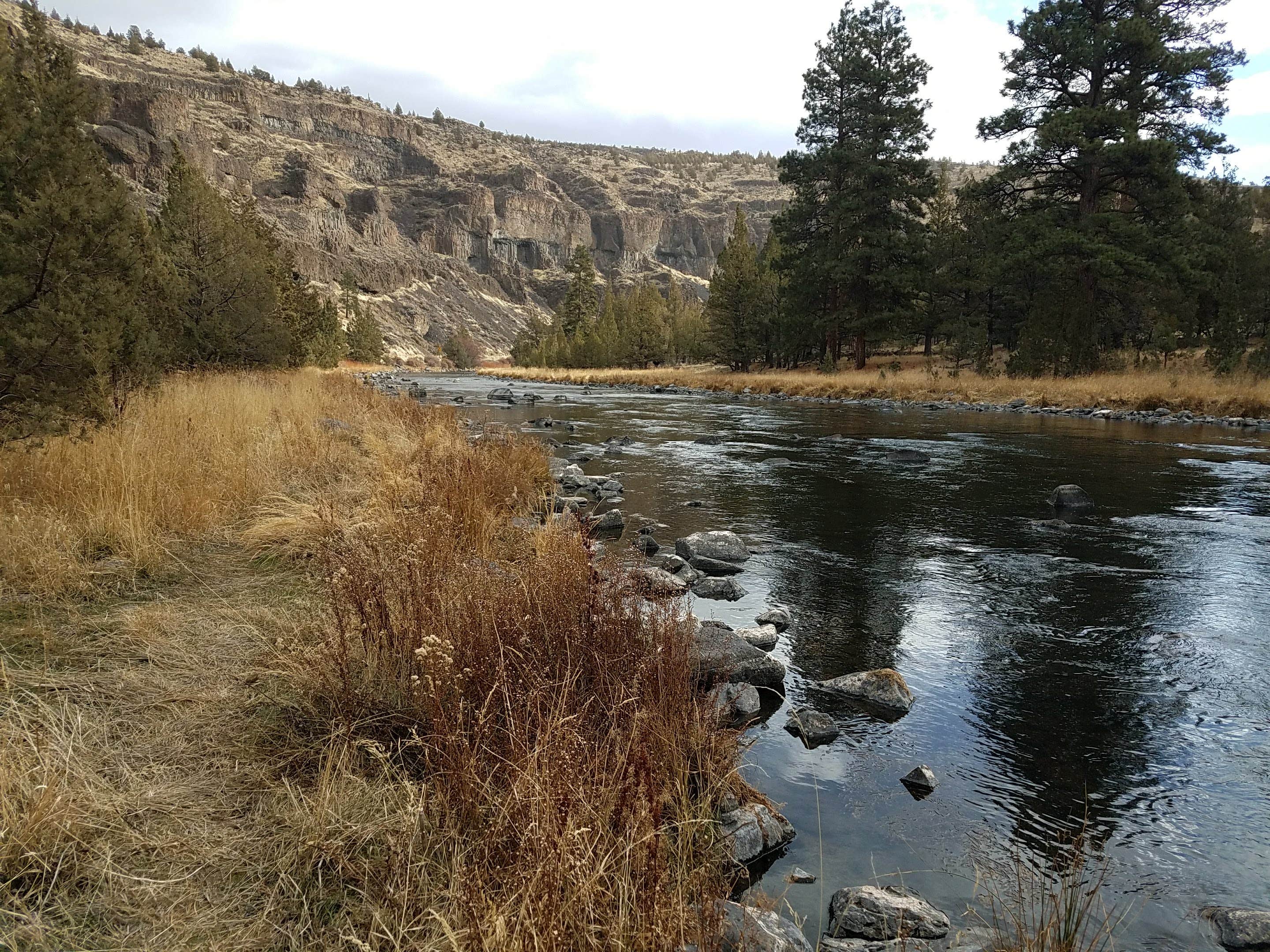 Camper submitted image from Poison Butte Campground - 2