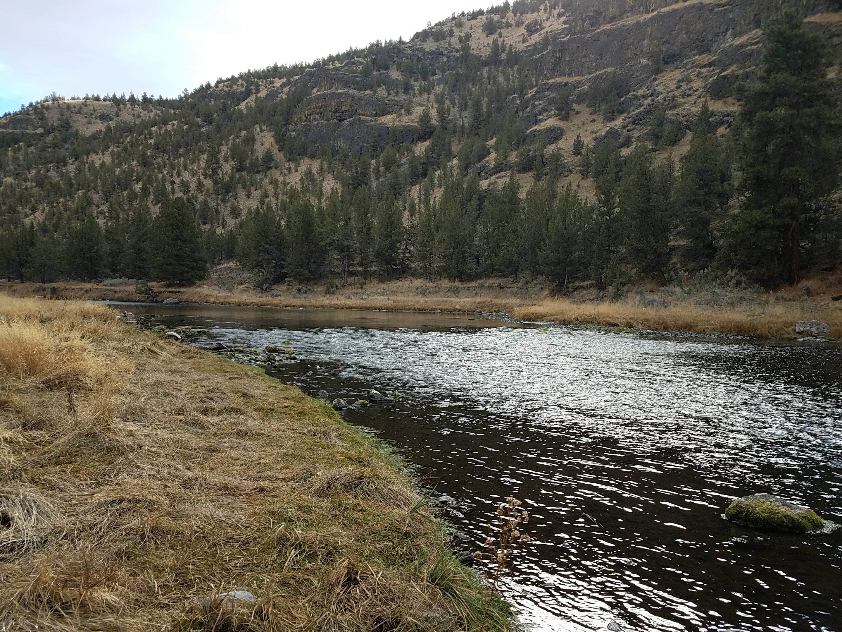 Camper-submitted photo at Big Bend Campground near Brothers, OR