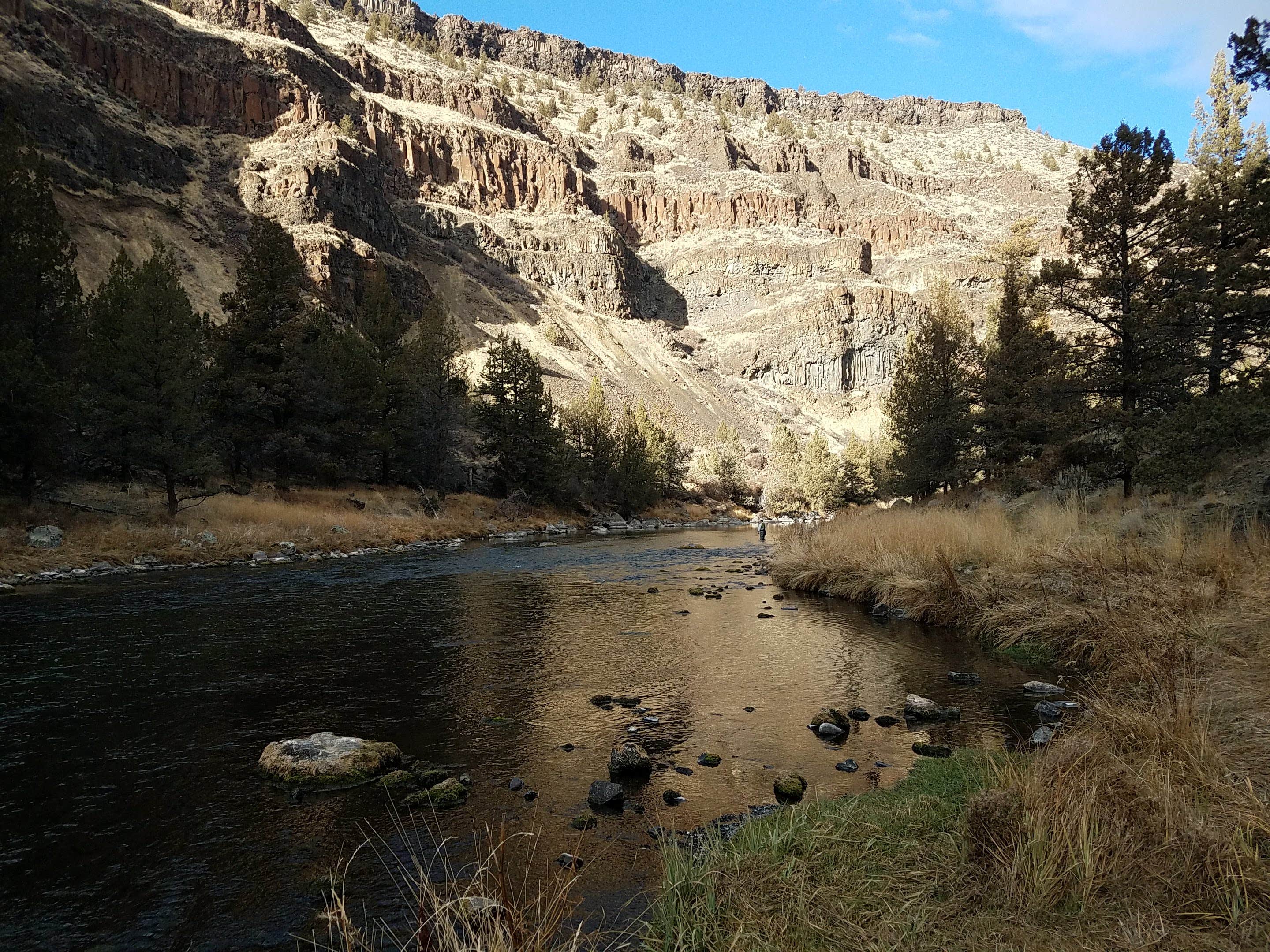 Camper submitted image from Big Bend Campground - 5