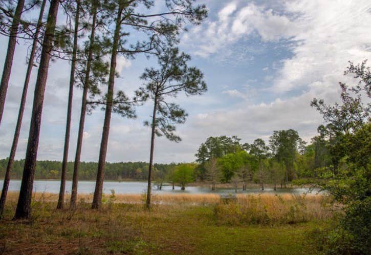 Camper-submitted photo at Open Pond Recreation Area near Wing, AL