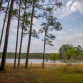 Review photo of Open Pond Recreation Area by Kristi C., June 29, 2016