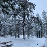 Review photo of North Campground — Bryce Canyon National Park by Carlisle B., December 27, 2019