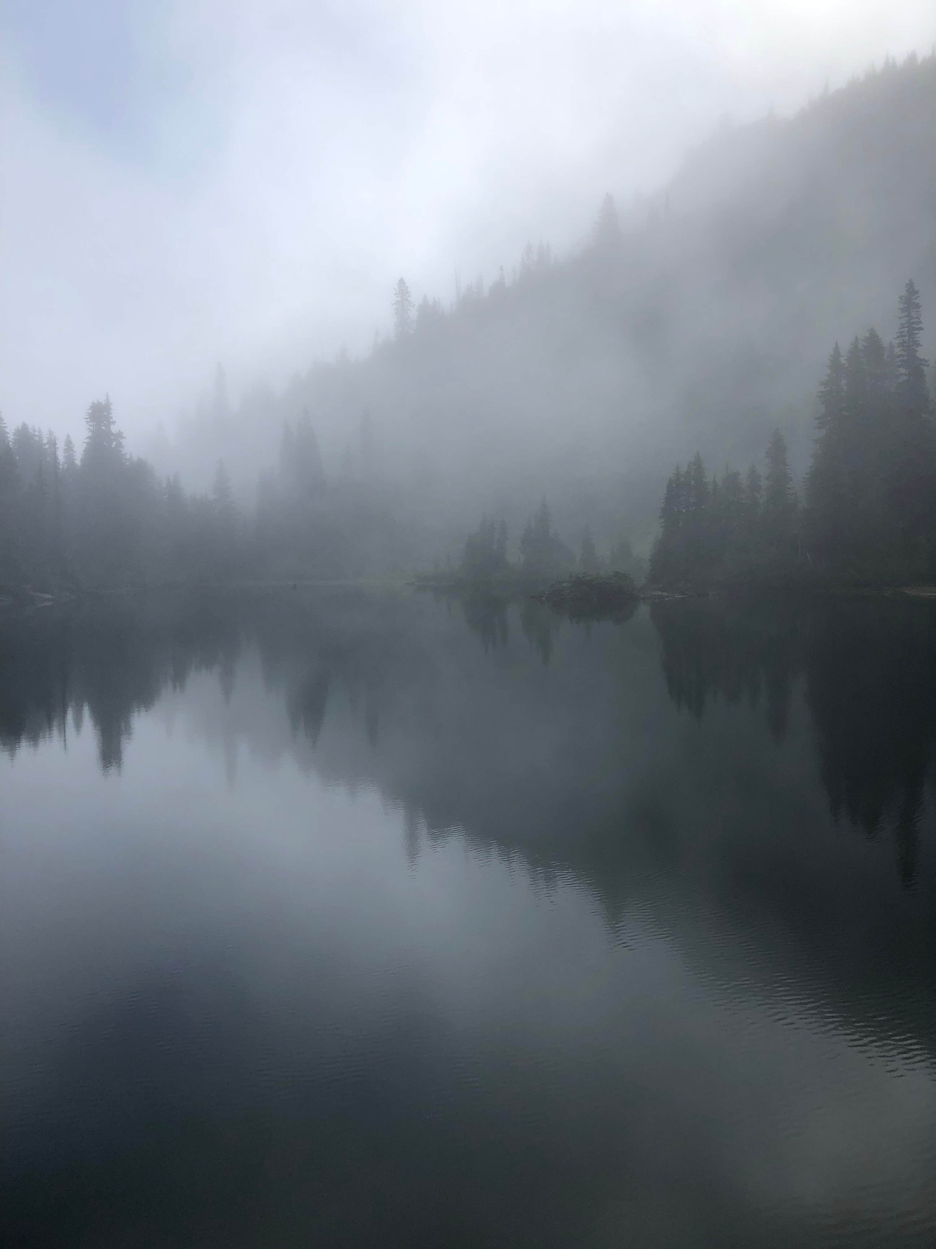Camper-submitted photo at Chetwoot Campground near Westport, WA