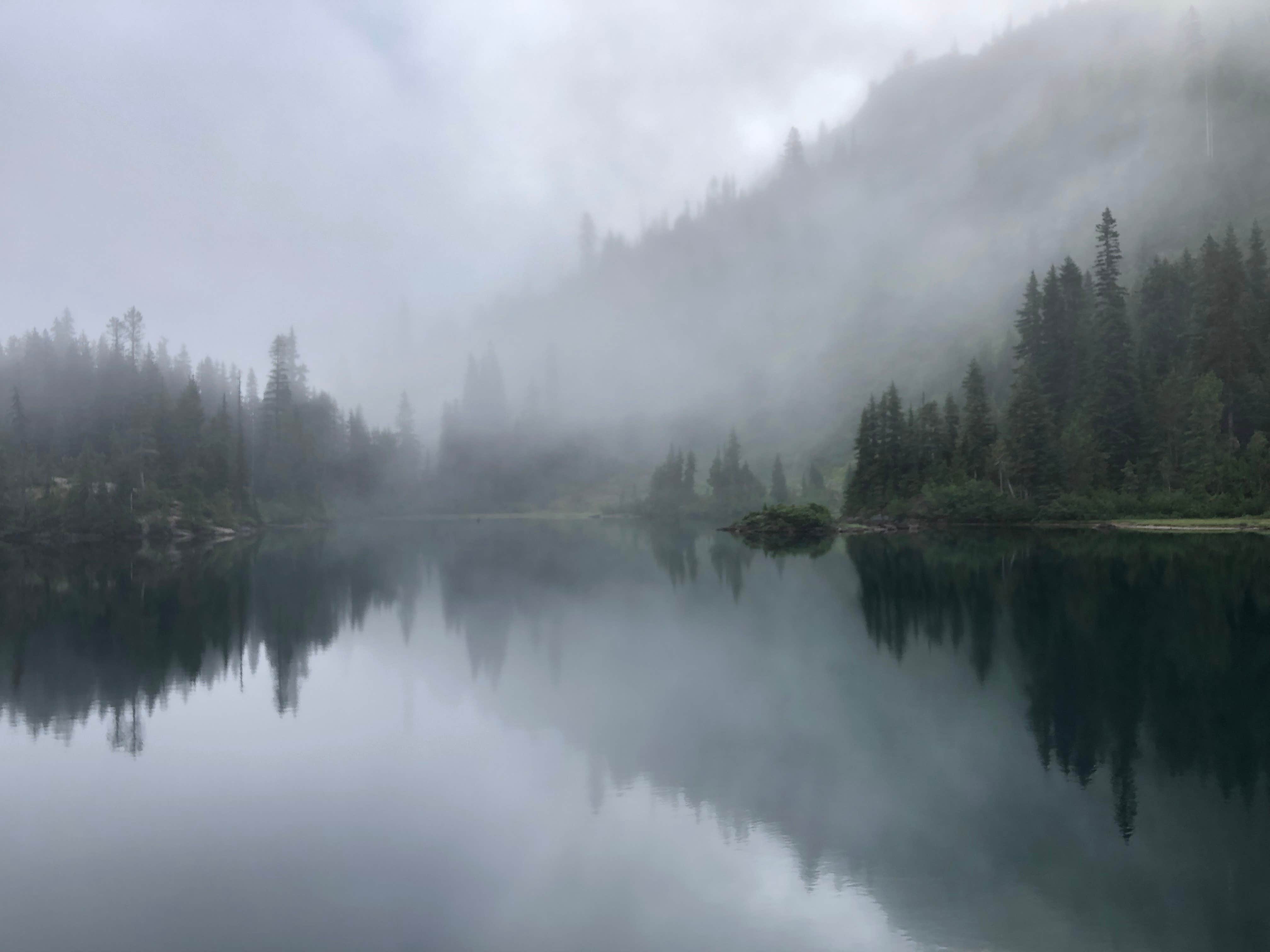 Camper-submitted photo at Chetwoot Campground near Westport, WA