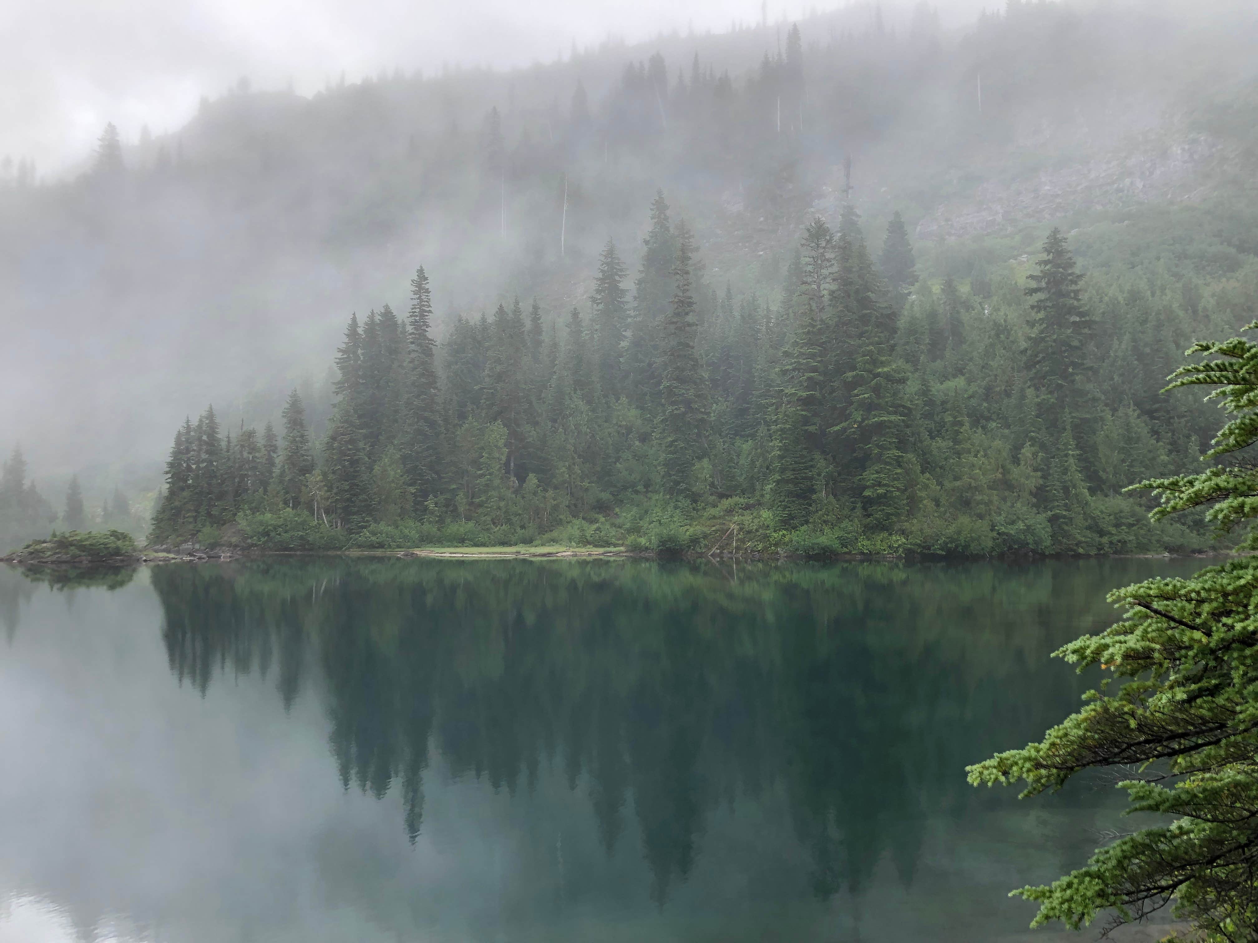 Camper-submitted photo at Chetwoot Campground near Westport, WA