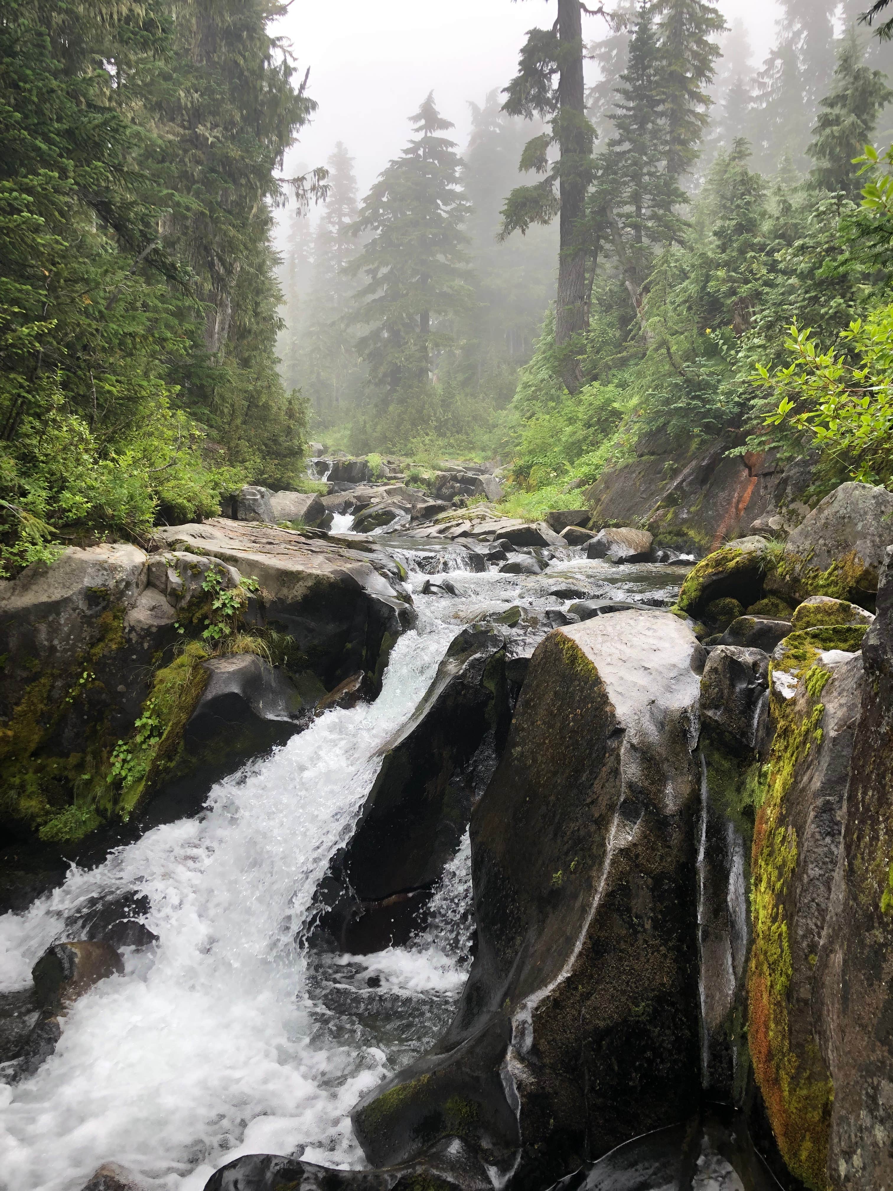 Camper-submitted photo at Chetwoot Campground near Westport, WA
