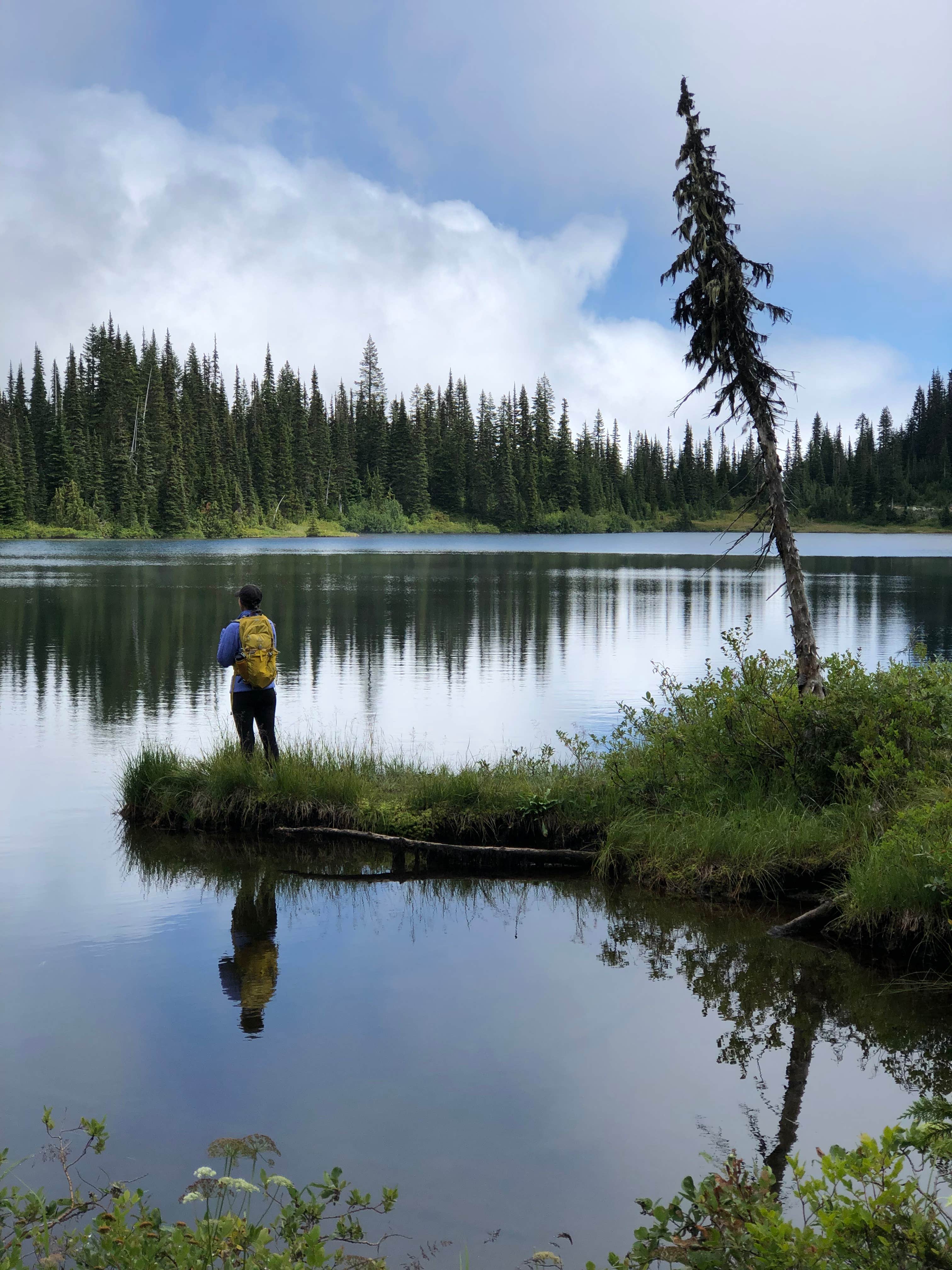 Camper-submitted photo at Chetwoot Campground near Westport, WA