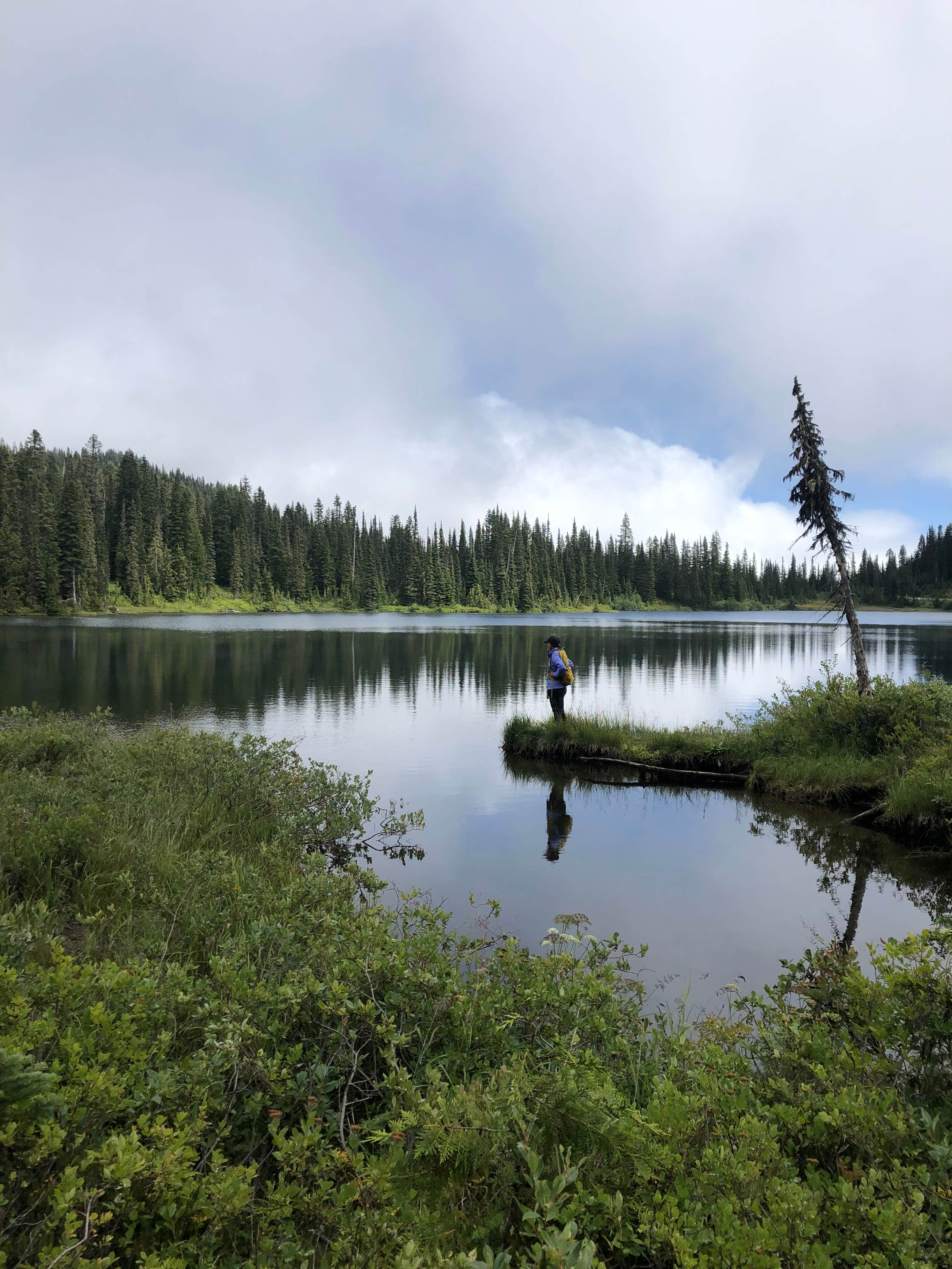 Camper-submitted photo at Chetwoot Campground near Westport, WA