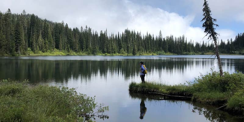 Camper submitted image from Chetwoot Campground