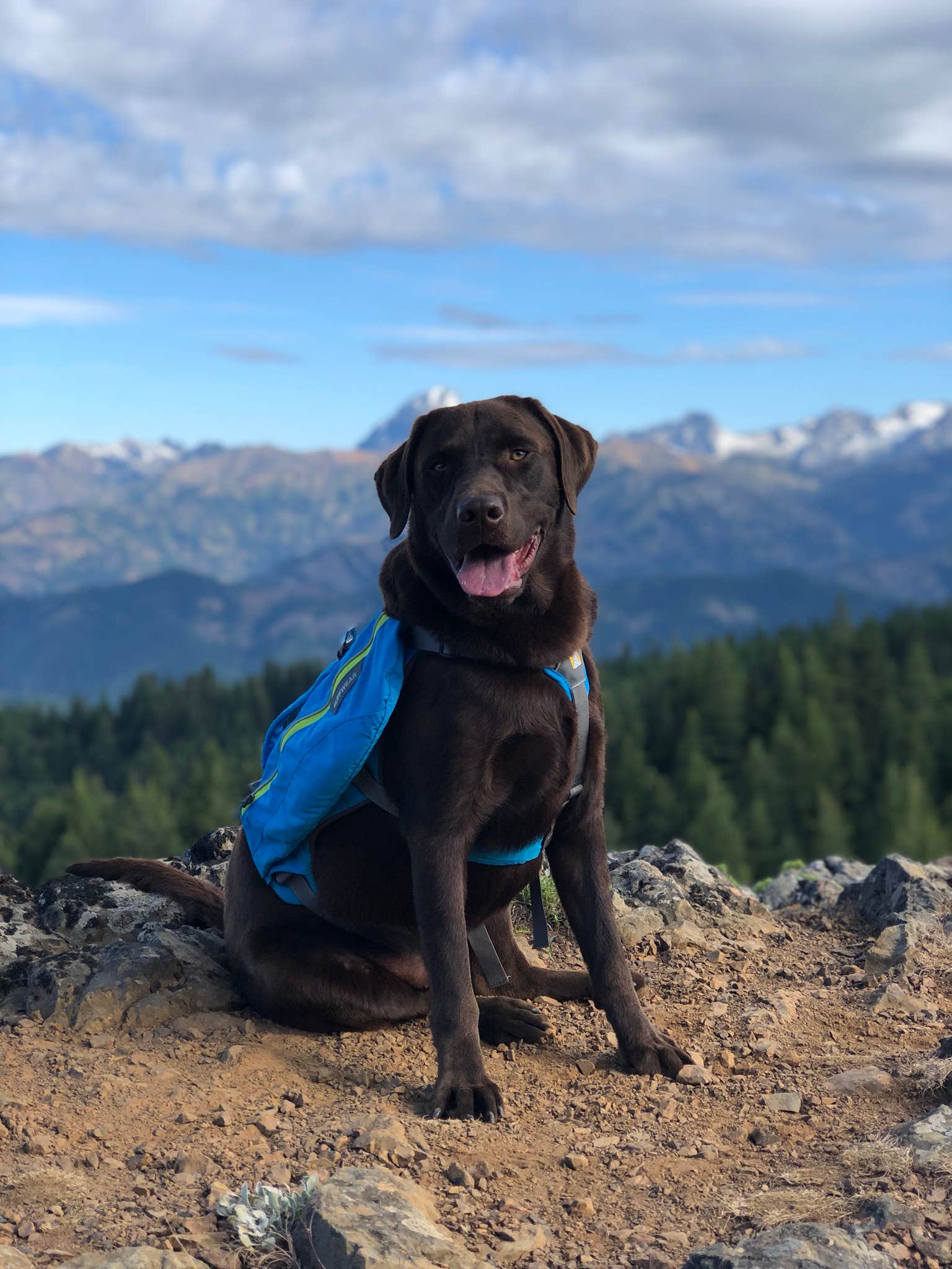 Camper submitted image from Lillian — Olympic National Park - 4