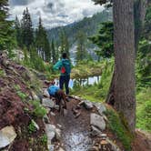 Review photo of Lillian — Olympic National Park by Sasha W., December 27, 2019