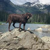 Review photo of Lillian — Olympic National Park by Sasha W., December 27, 2019