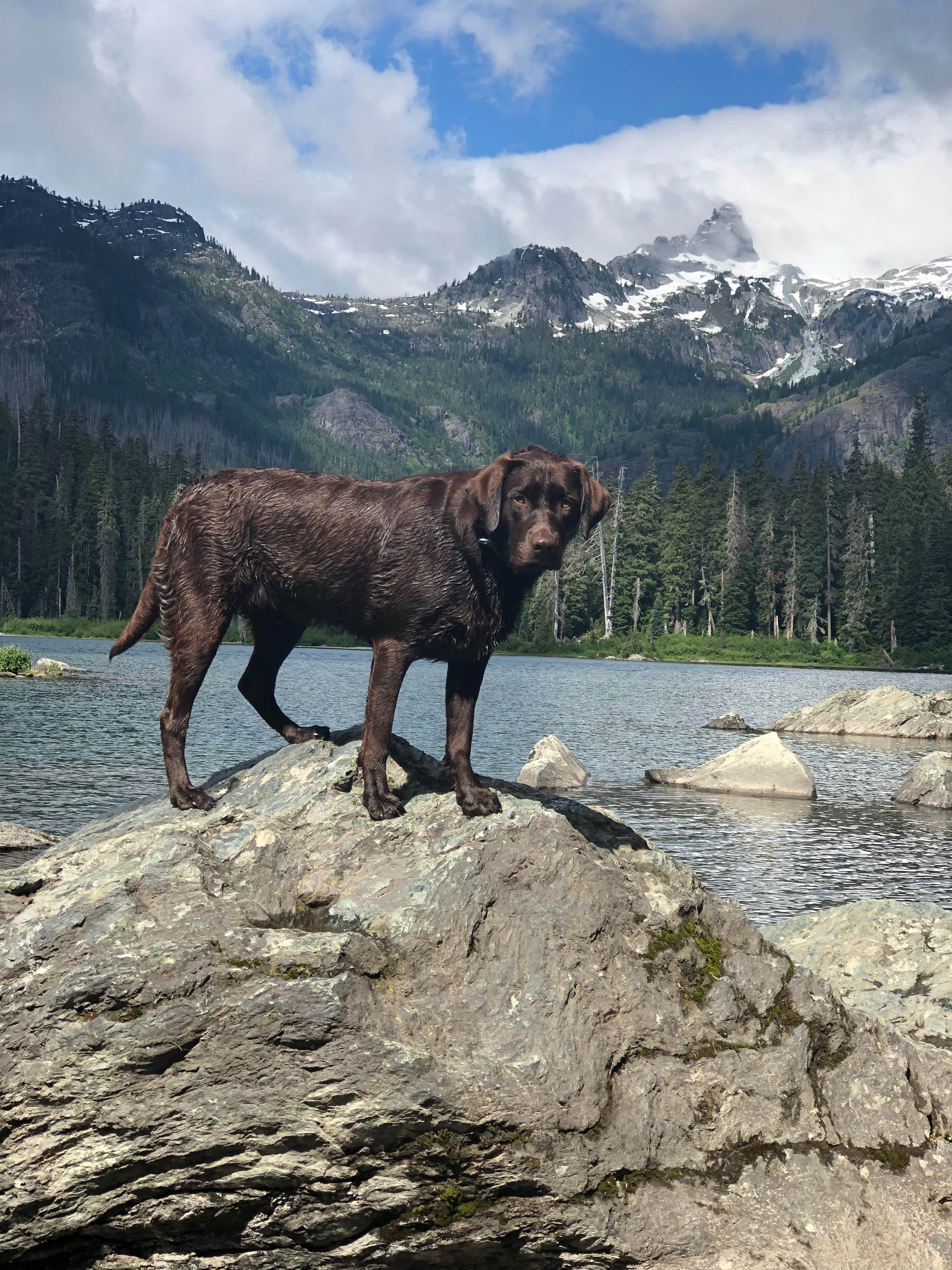 Camper submitted image from Lillian — Olympic National Park - 5