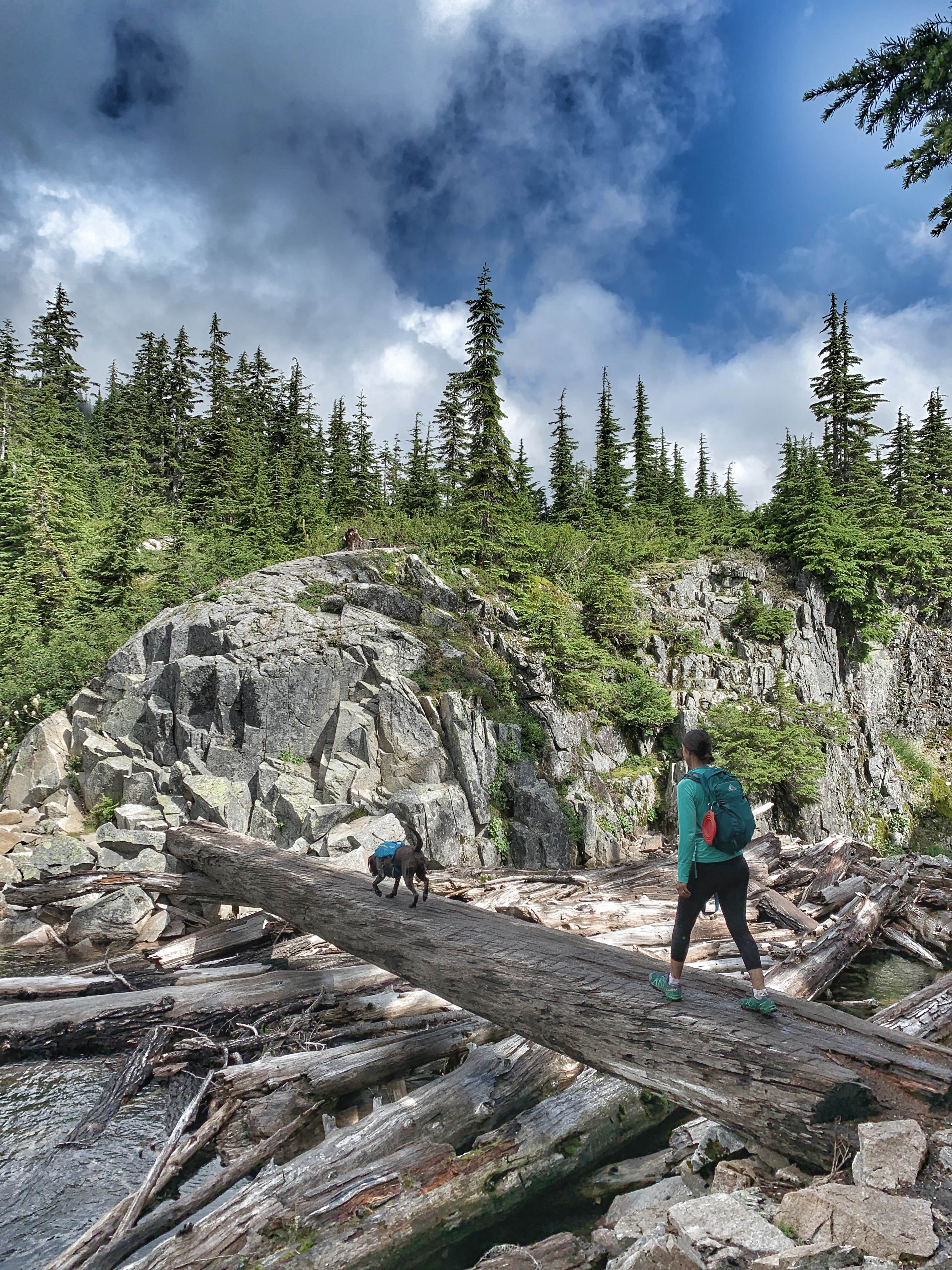 Camper submitted image from Lillian — Olympic National Park - 1