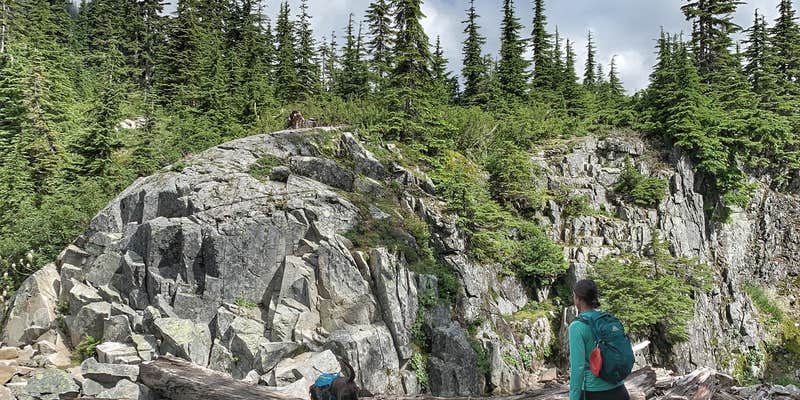 Camper submitted image from Lillian — Olympic National Park