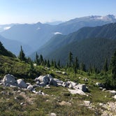 Review photo of Lillian — Olympic National Park by Sasha W., December 27, 2019