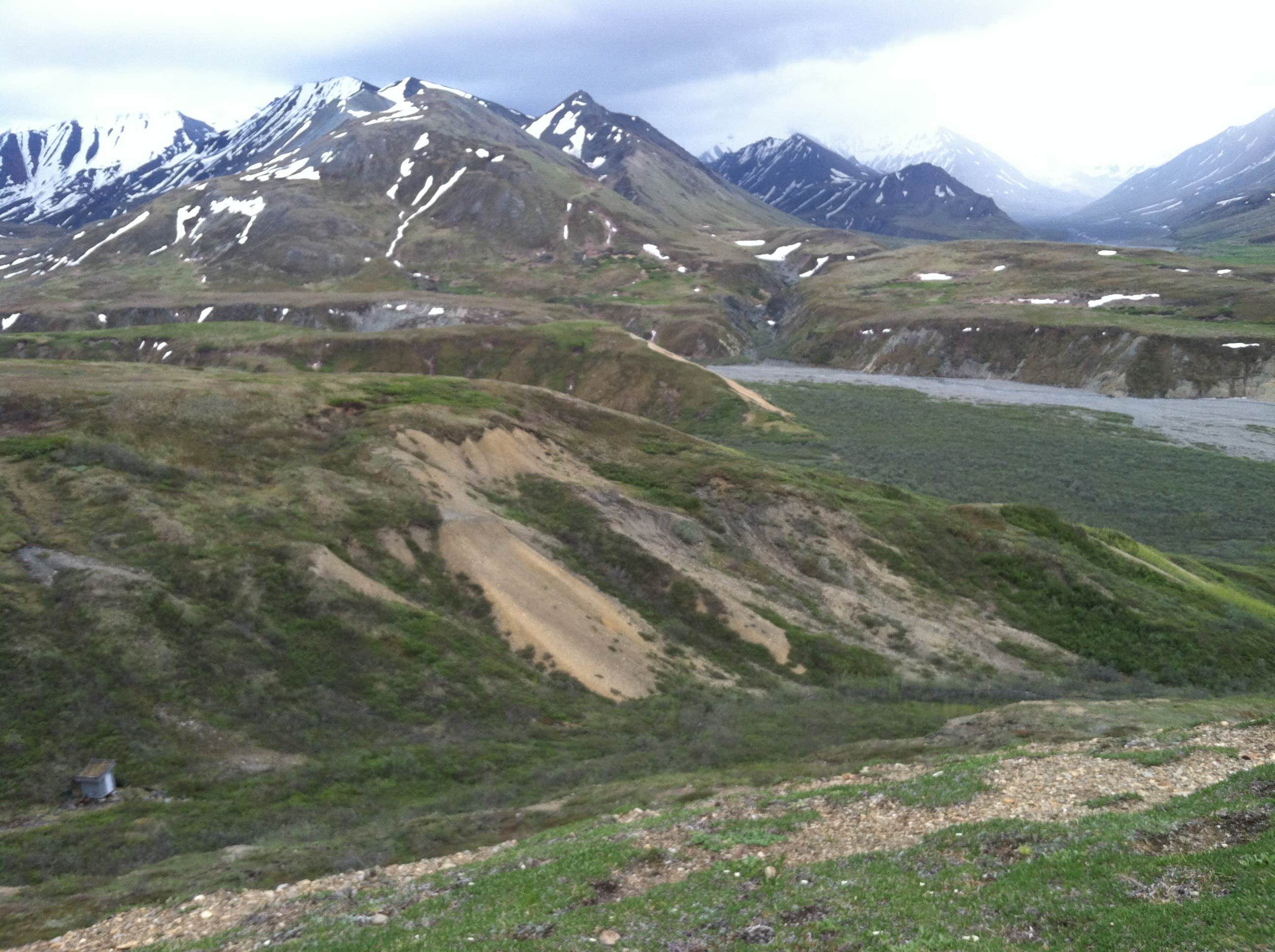 Camper submitted image from Denali National Park Sanctuary River Campground - 3