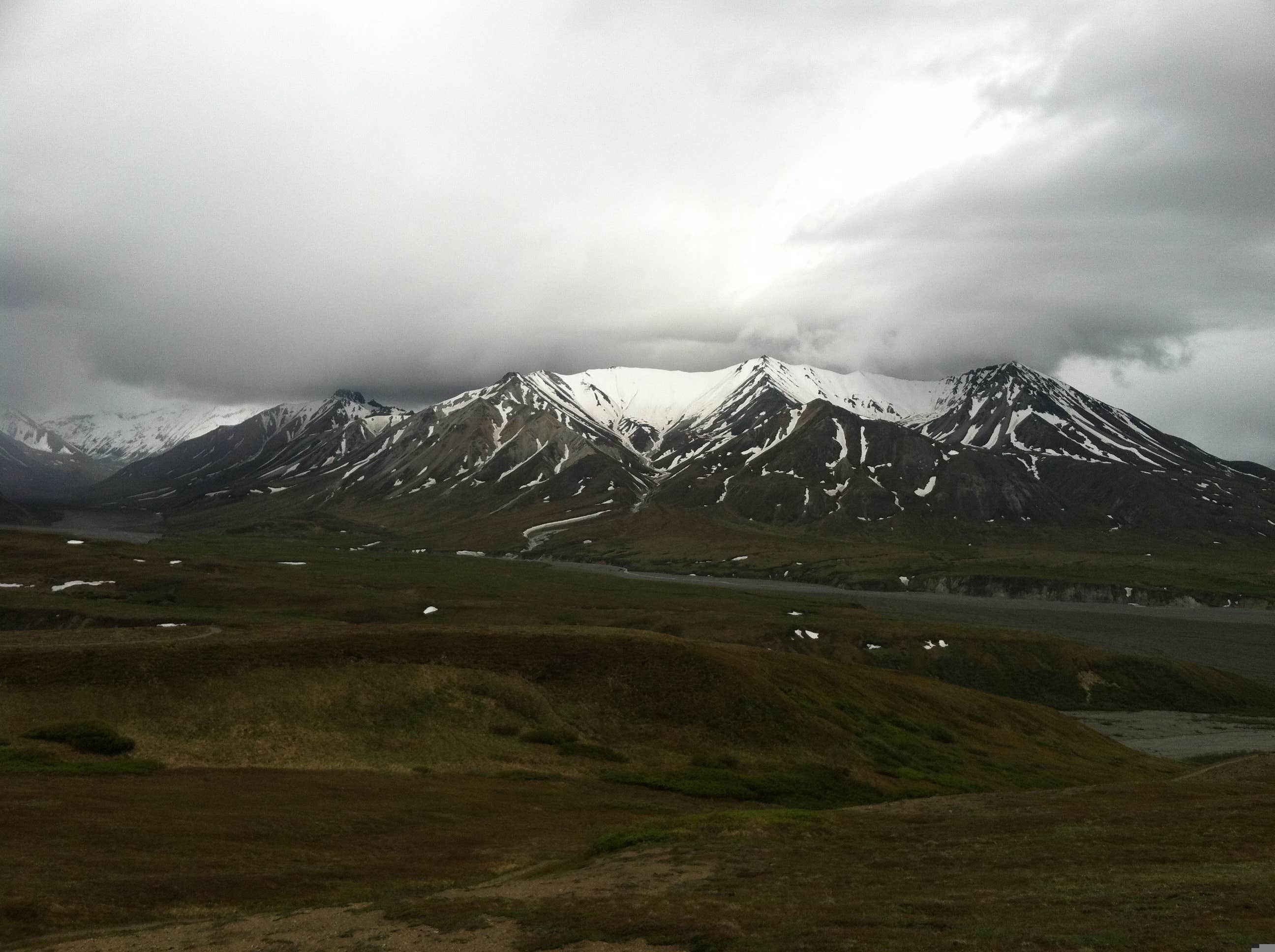 Camper submitted image from Denali National Park Sanctuary River Campground - 2