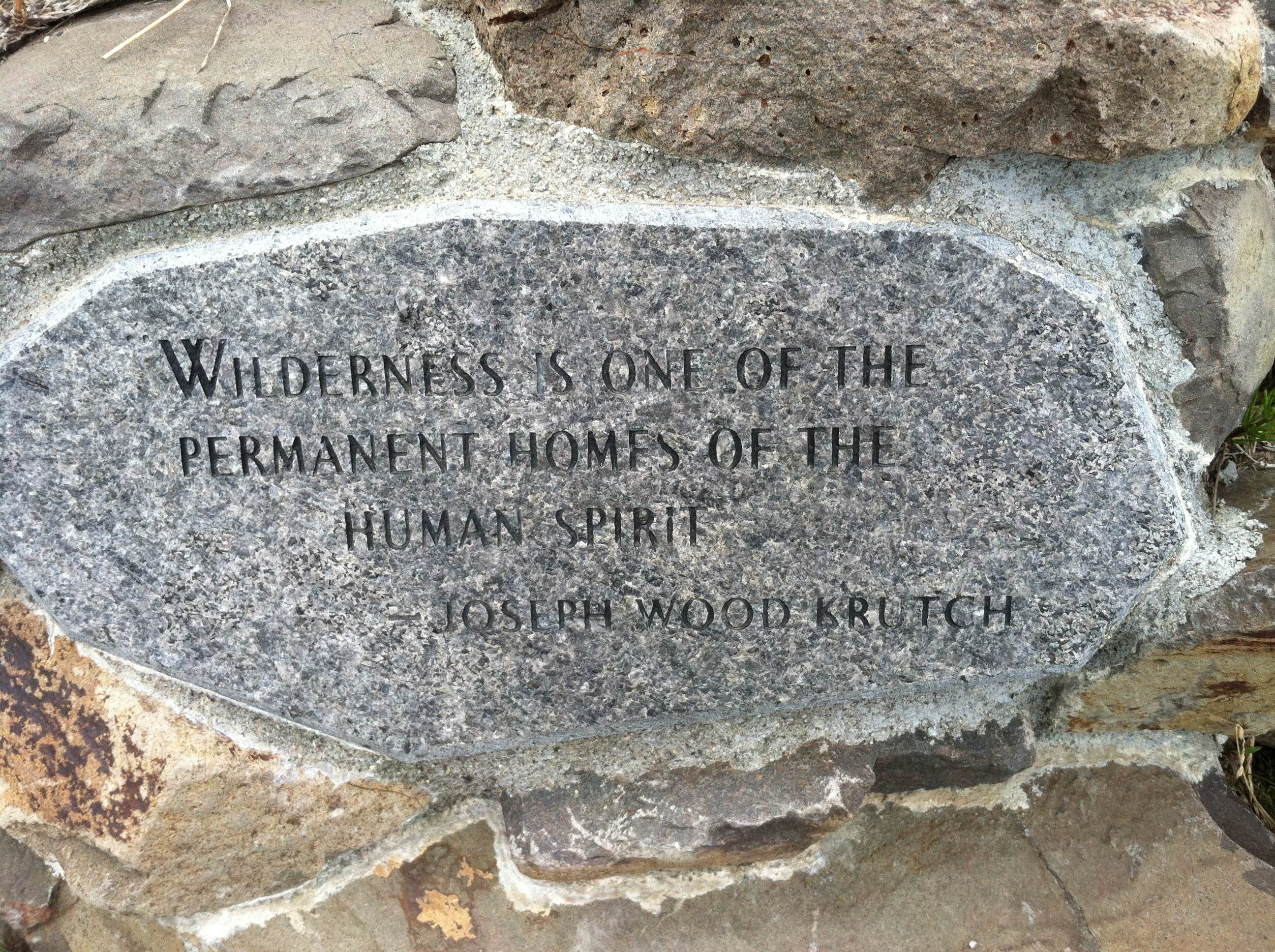 Camping near Riley Creek Campground — Denali National Park: Sanctuary River Campground — Denali National Park, Denali National Park & Preserve, Alaska