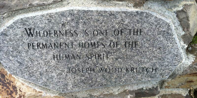 Camper submitted image from Sanctuary River Campground — Denali National Park