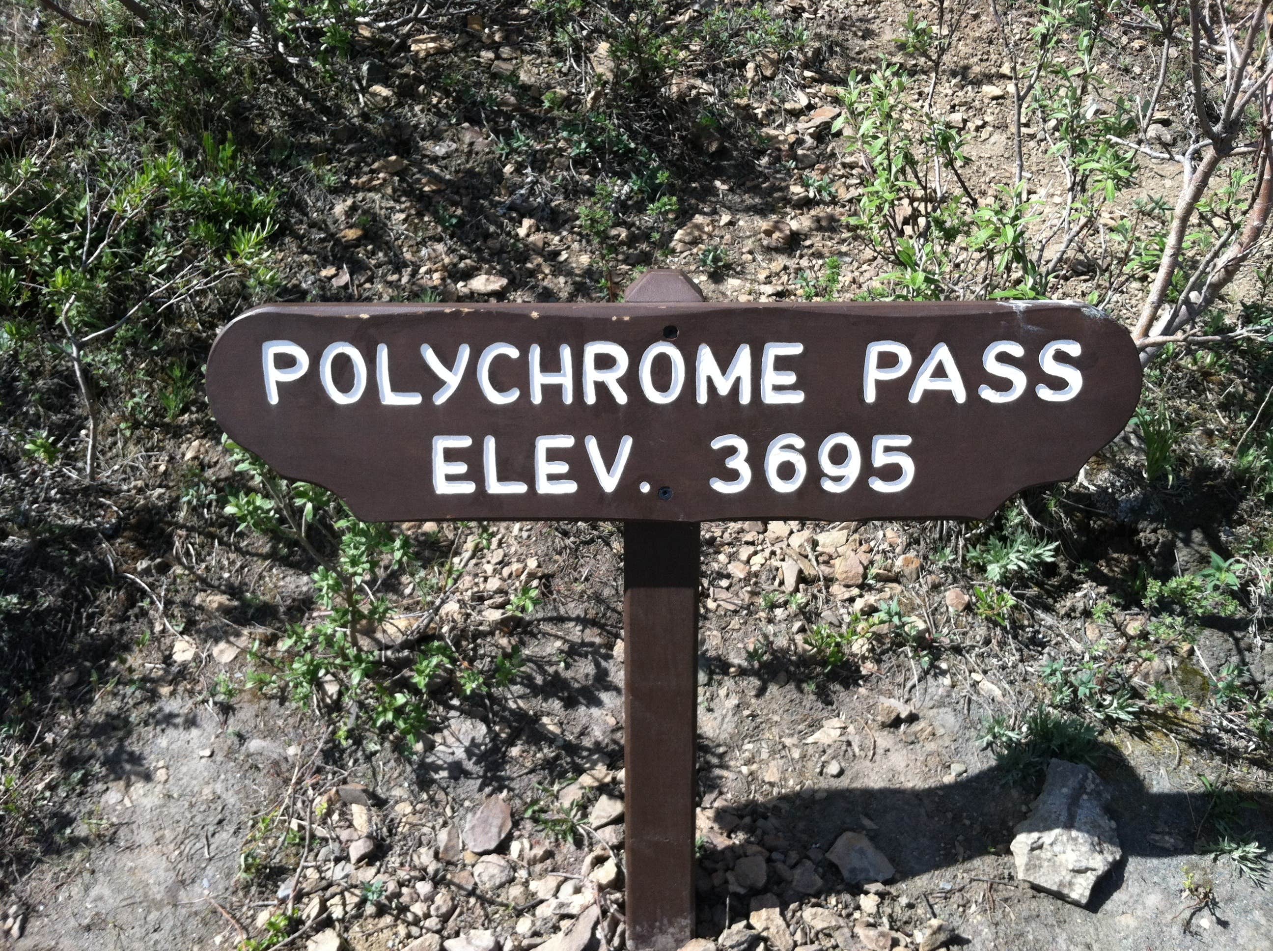 Camper-submitted photo at Sanctuary River Campground — Denali National Park near Denali National Park and Preserve