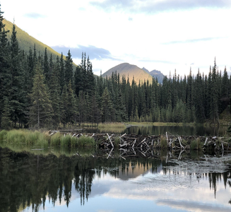 Camper-submitted photo from Sanctuary River Campground — Denali National Park