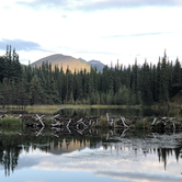 Review photo of Sanctuary River Campground — Denali National Park by Sam M., December 28, 2019